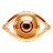 göz